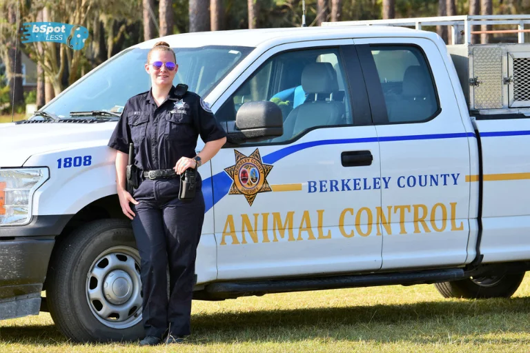 Animal Control Service