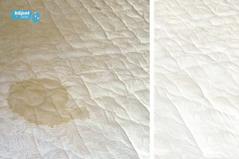 How To Remove Water Stain From Mattress