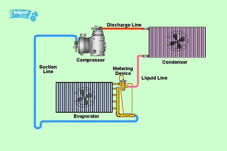 Locate the Refrigerant Lines